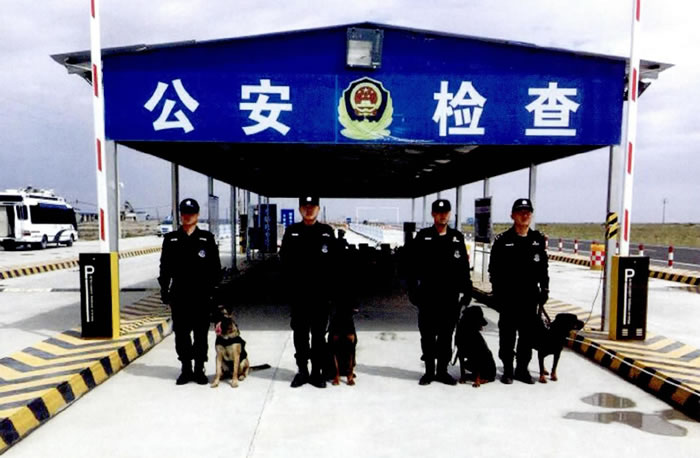 警犬安保團隊工作圖