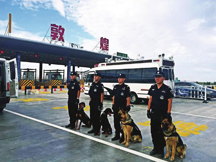 警犬安保團隊工作圖